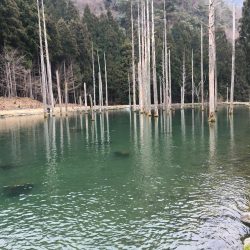 朽木渓流魚センタールアーフィールド